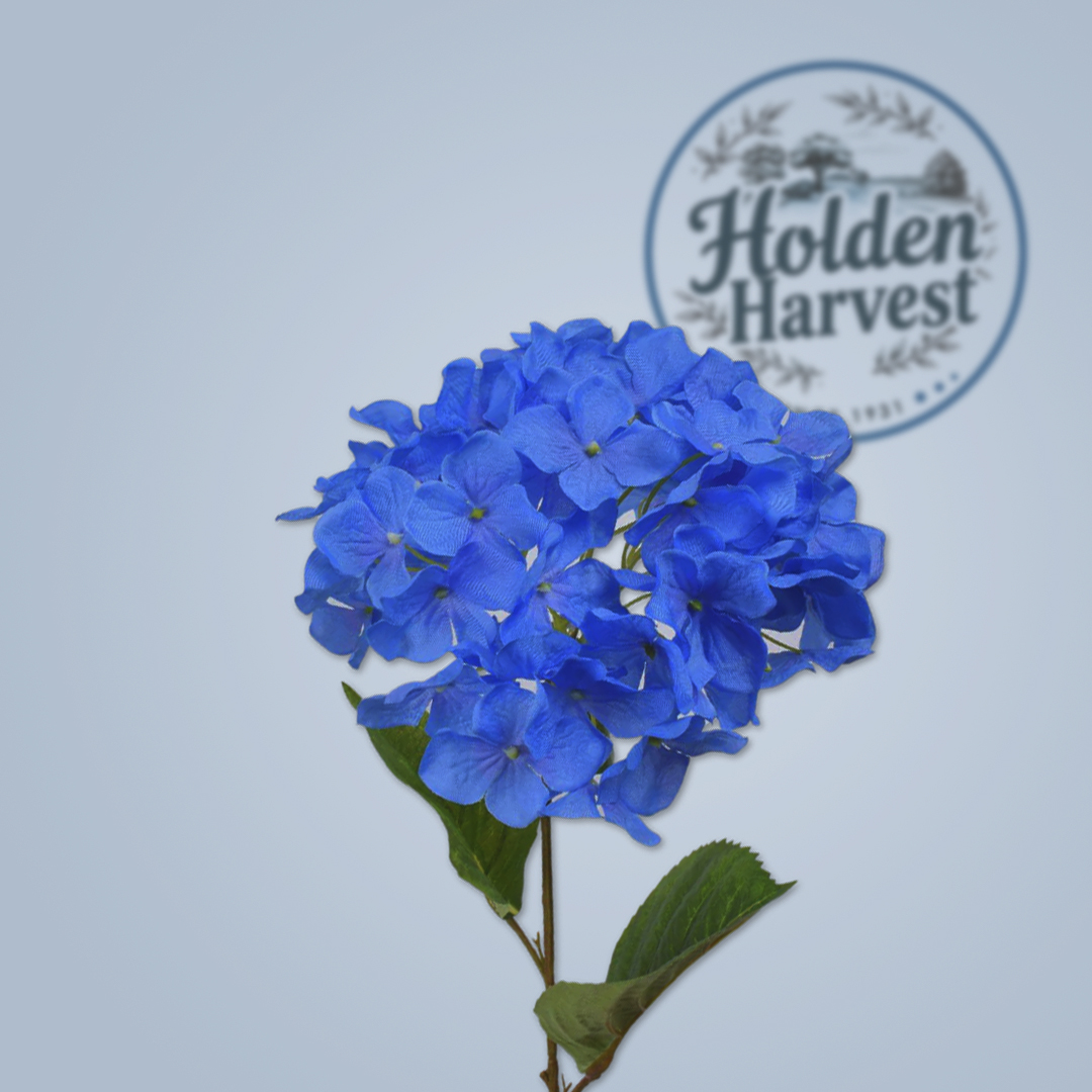 hydrangea-blue